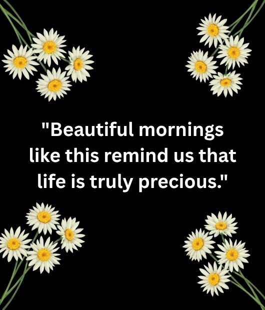 Beautiful mornings like this remind us that life is truly precious.
