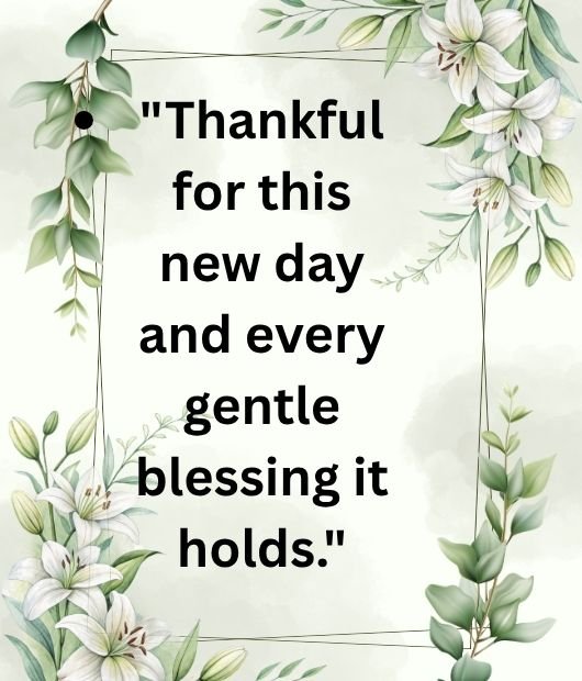 Thankful for this new day and every gentle blessing it holds.