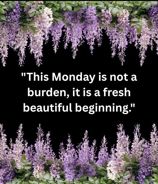 This Monday is not a burden, it is a fresh beautiful beginning.
