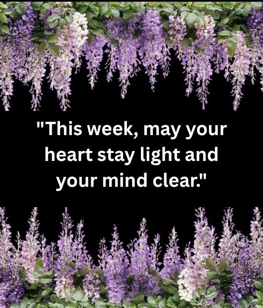 This week, may your heart stay light and your mind clear.