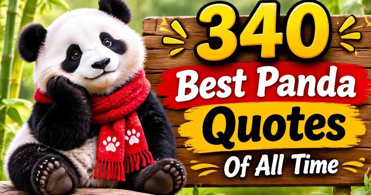 340 Best Panda Quotes Of All Time